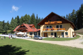 Гостиница Alpengasthaus Gießlhütte  Вольфсберг